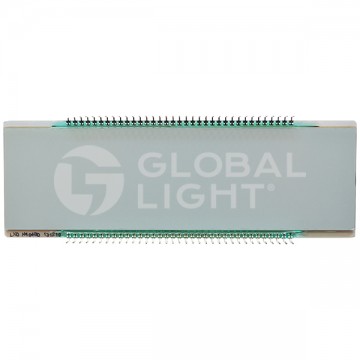 WM001845 / R01-16885, Wayne Global Vista® & Global Century® main display LCD