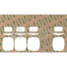 888459-007-390/ 888459-007-5071, Wayne Ovation, Citgo Overlay
