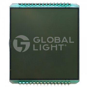 Display double line LCD, 30 Pins, 8 Digits, Wayne Vista